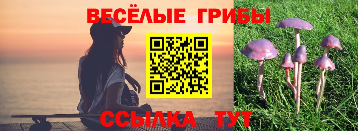 Галлюциногенные грибы прущие грибы Губаха