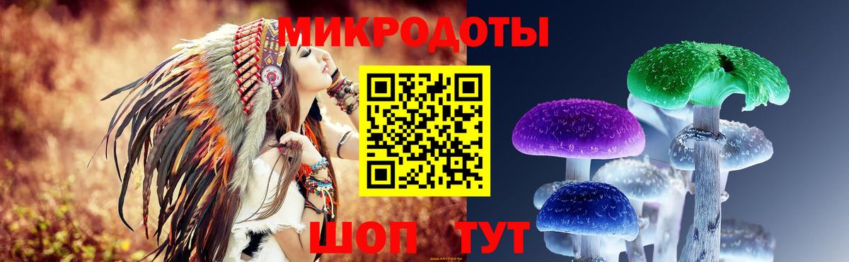 Галлюциногенные грибы Psilocybe  Вход с VPN  Губаха 
