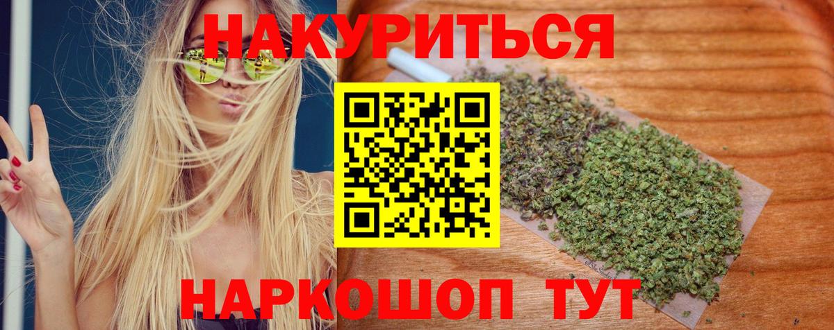 Каннабис MAZAR  Марихуана семена  Губаха  Вход с VPN 